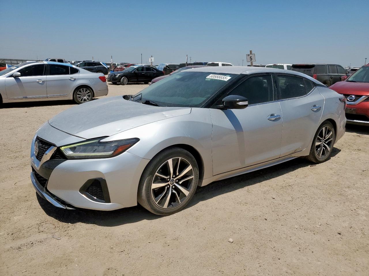 NISSAN MAXIMA SV