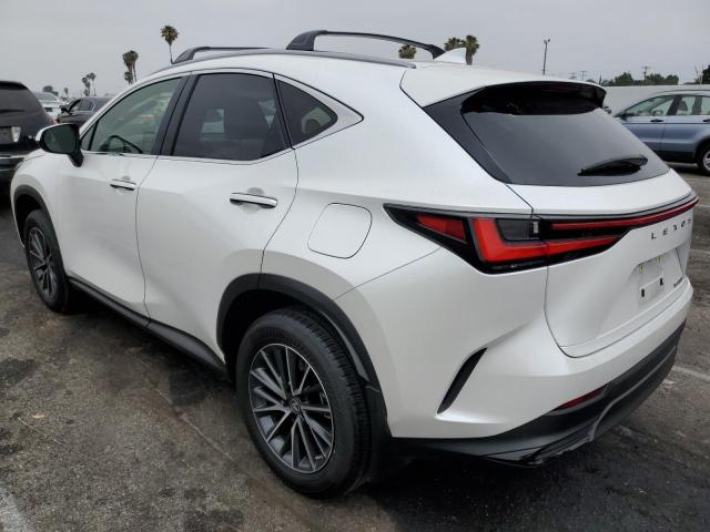 2023 LEXUS NX 250 JTJADCAZ5P5011769