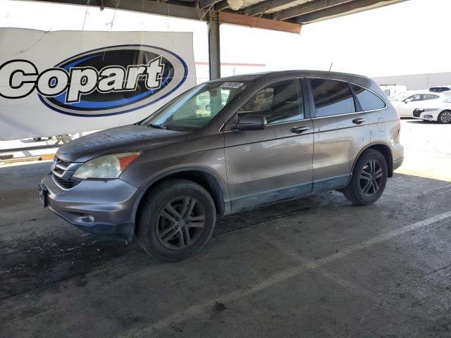 Vin: 5j6re3h73al034942, lot: 61983895, honda crv exl 2010 img_1