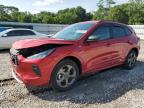 2024 FORD ESCAPE ST - 1FMCU0MZ3RUB17115