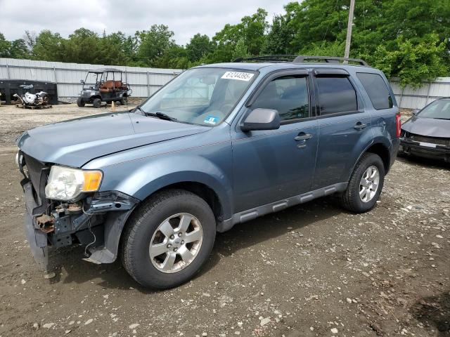 Vin: 1fmcu9dg0akc46173, lot: 61244395, ford escape xlt 2010 img_1