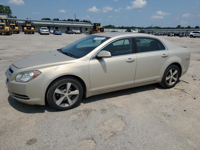 Vin: 1g1zc5e18bf256702, lot: 59463655, chevrolet malibu 1lt 2011 img_1
