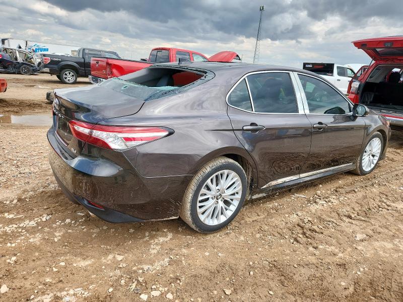 2020 TOYOTA CAMRY XLE - 4T1F11AK8LU915393