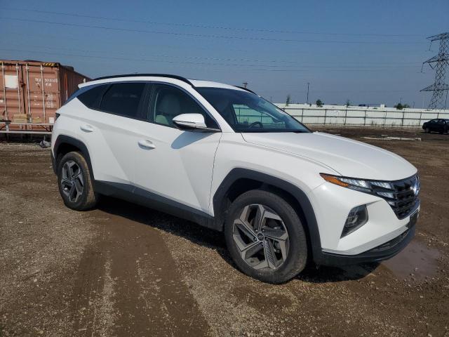 2024 HYUNDAI TUCSON SEL - 5NMJFCDE3RH432671