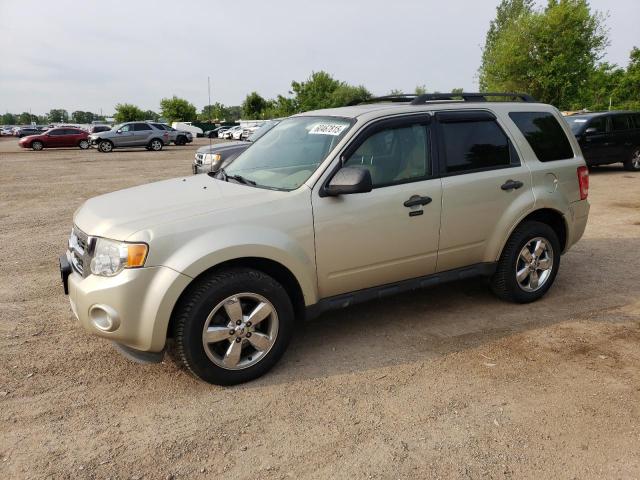 Vin: 1fmcu9d72ckb46420, lot: 60467815, ford escape xlt 2012 img_1