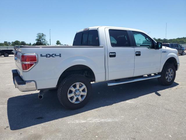 Vin: 1ftfw1ef6dfd37447, lot: 61262635, ford f-150 supercrew 20133