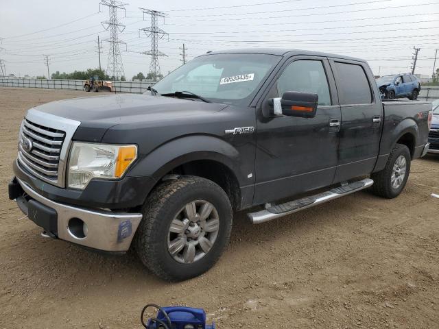 Vin: 1ftew1e84afd14774, lot: 60530435, ford f-150 supercrew 2010 img_1