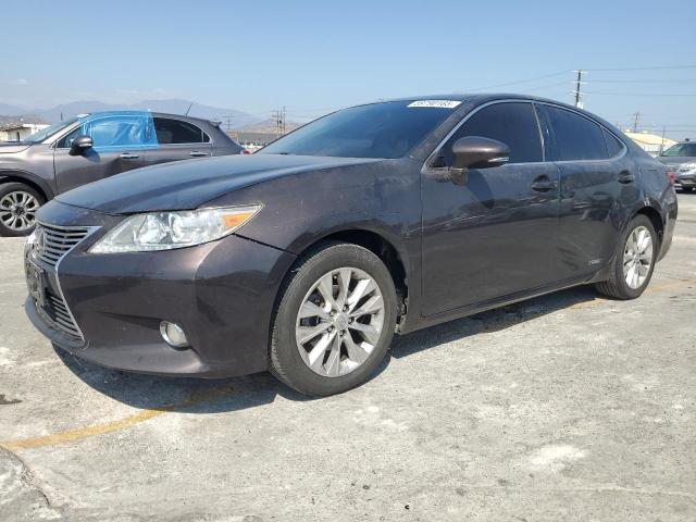 Vin: jthbw1gg7d2025857, lot: 59790165, lexus es300 300h 2013 img_1