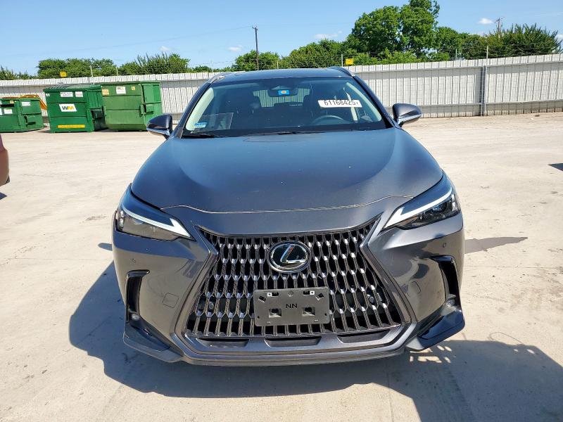 2025 LEXUS NX 250 PRE 2T2GDCAZ1SC018092