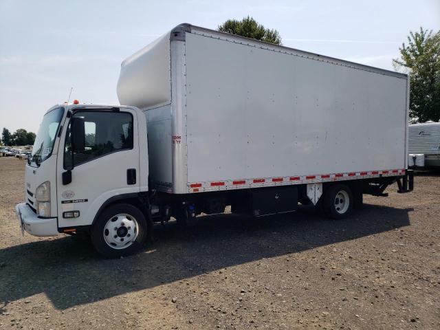 ISUZU NRR 2017 white tilt cab diesel JALE5W169H7301462 photo #1