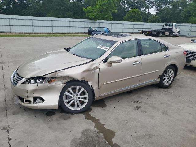 Global Auto Auctions: 2010 LEXUS ES 350