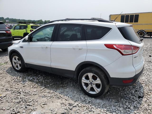 2013 FORD ESCAPE SE - 1FMCU0GX8DUD36395