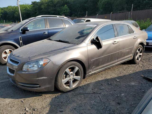 Vin: 1g1zc5e14bf225558, lot: 58911785, chevrolet malibu 1lt 2011 img_1