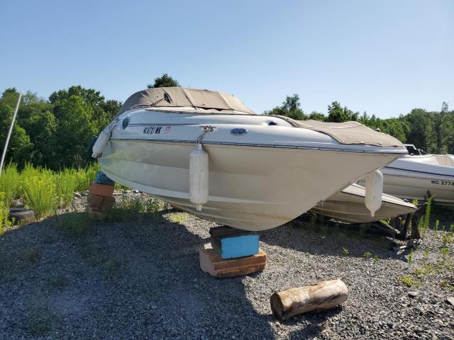 sea ray BOAT