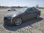 Top Destinations for Shipping Cars from the USA