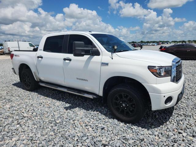 2010 TOYOTA TUNDRA CRE - 5TFFY5F13AX093573