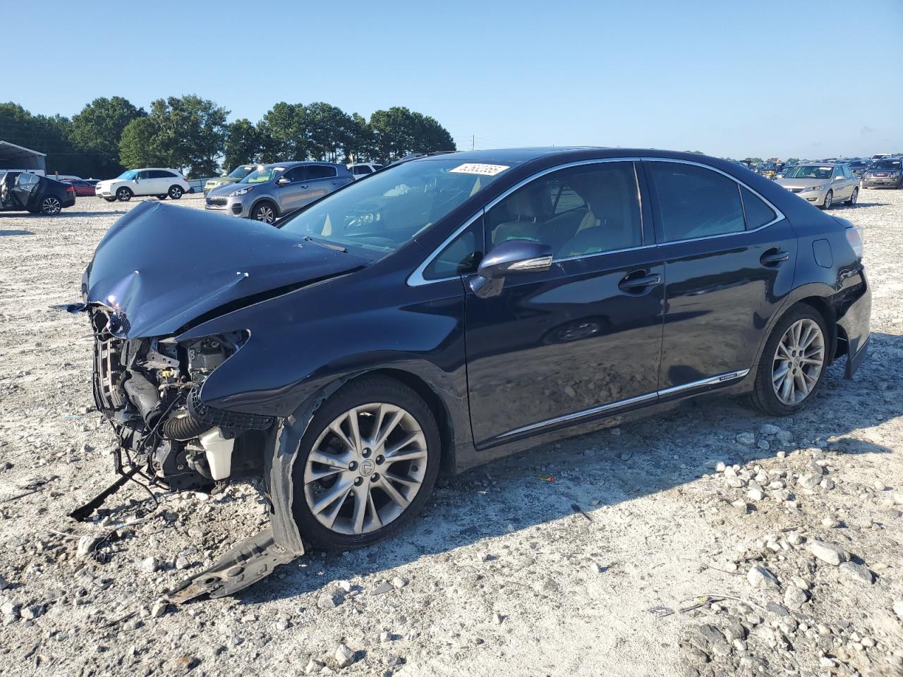 LEXUS HS 250H