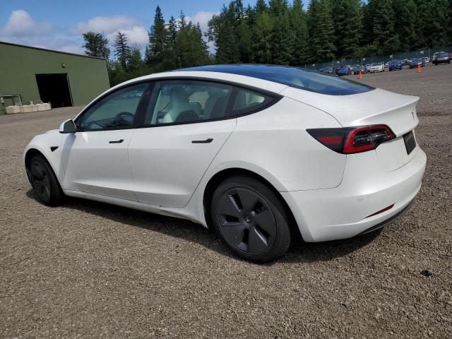 2023 TESLA MODEL 3 5YJ3E1EA5PF464743
