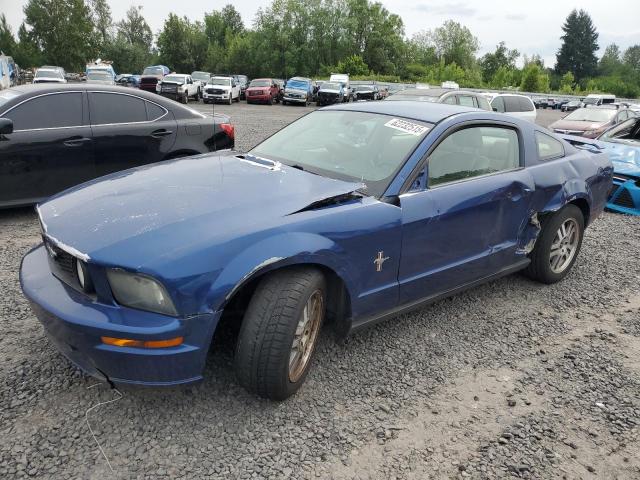 FORD MUSTANG 2006 blue  gas 1ZVFT80N765128238 photo #1