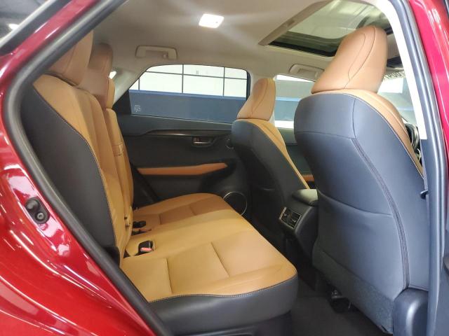 2020 LEXUS NX 300H - JTJGJRDZ2L5005228