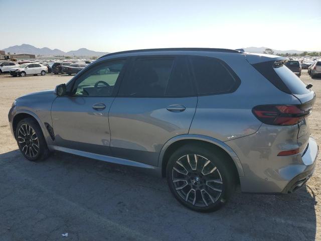 2025 BMW X5 SDRIVE 5UX13EU06S9W38320