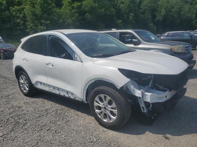 Vin: 1fmcu9gn5rub22281, lot: 55476845, ford escape act active 20244