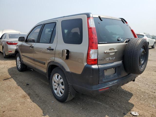 HONDA CR-V EX 2006 tan 4dr spor gas JHLRD78876C020898 photo #3