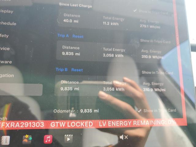 2024 TESLA MODEL Y - 7SAYGDEFXRA291303