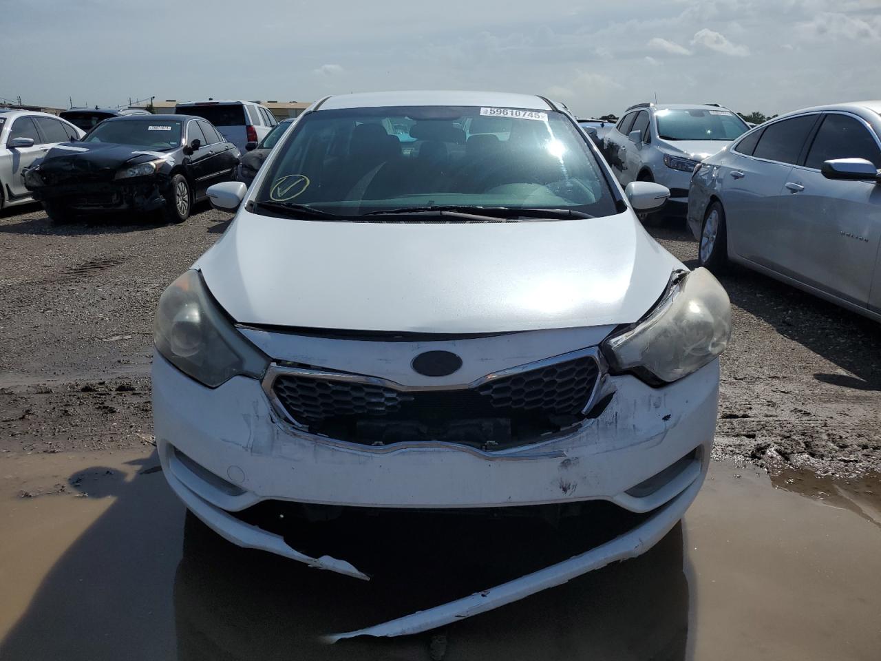 Global Auto Auctions