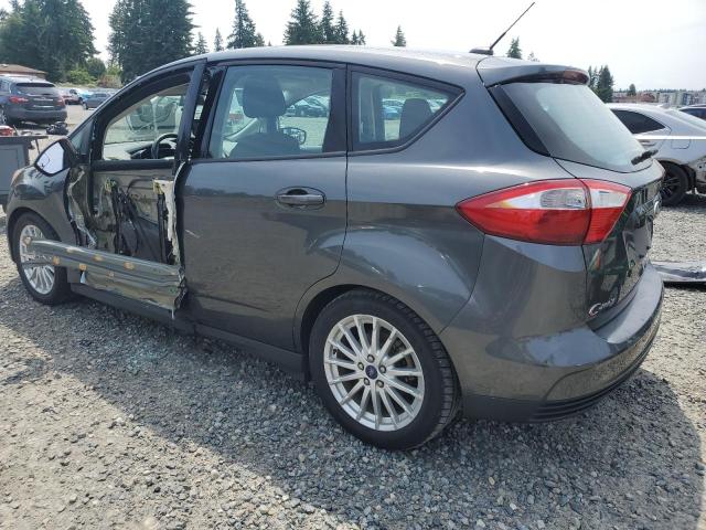 2016 FORD C-MAX SE 1FADP5AU7GL117813