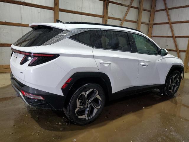 Vin: 5nmjecde7rh345374, lot: 60270125, hyundai tucson limited 20243