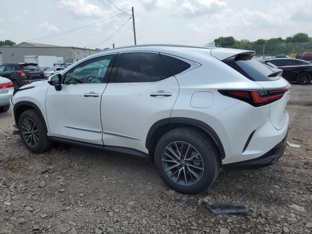 2025 LEXUS NX 350 PRE 2T2GGCEZ4SC078868