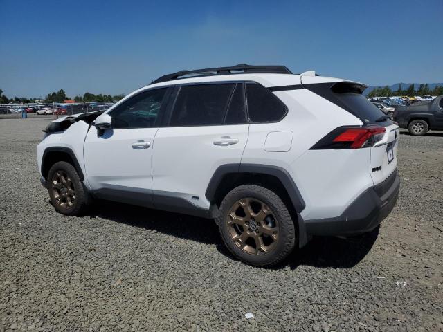 Vin: 2t3uwrfv9pw176378, lot: 58996935, toyota rav4 woodl woodland edition 20232