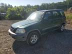 Lot #3297985034 2001 HONDA CR-V EX