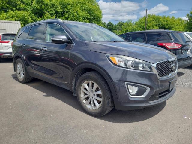 Vin: 5xypgda11gg055411, lot: 61179755, kia sorento lx 2016 img_1