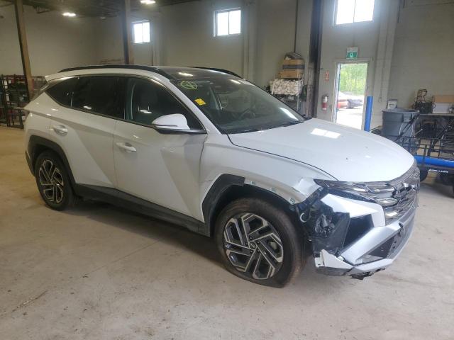 Vin: km8jcdd13su287136, lot: 59721615, hyundai tucson sel convenience 20254