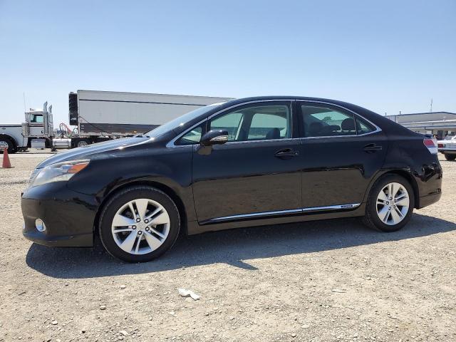 LEXUS HS 250H