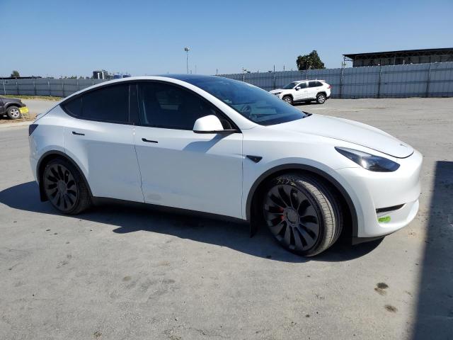 2023 TESLA MODEL Y 7SAYGDEF6PF796173