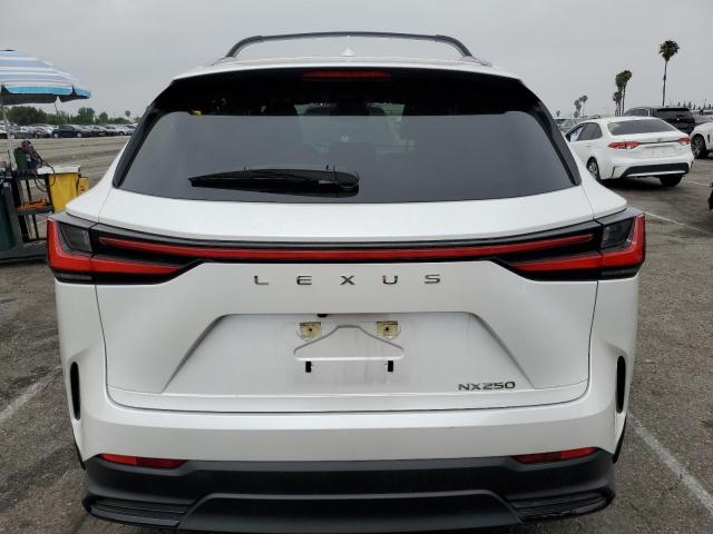 2023 LEXUS NX 250 JTJADCAZ5P5011769