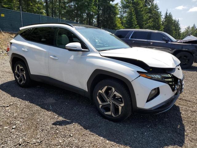 Vin: 5nmjecaexph289593, lot: 57683195, hyundai tucson limited 20234