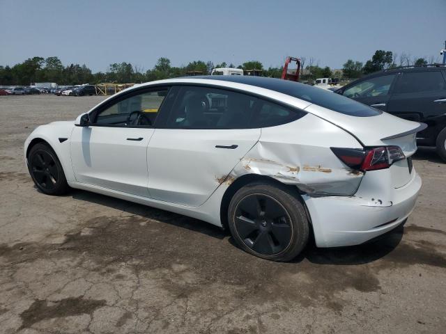 Vin: 5yj3e1eb6pf472343, lot: 59174125, tesla model 3 20232