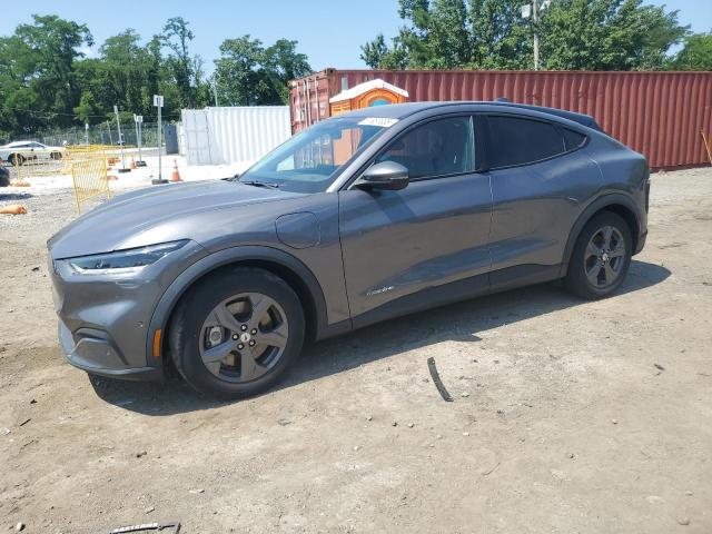 FORD MUSTANG MA