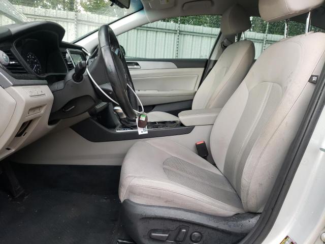 2019 HYUNDAI SONATA LIM - 5NPE34AF8KH791634