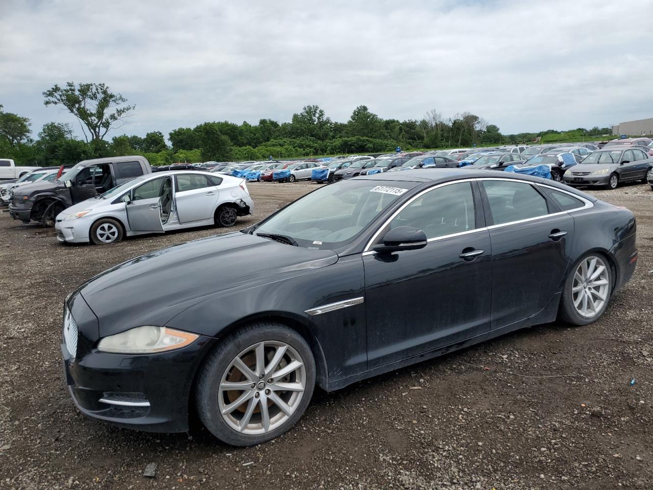JAGUAR XJ