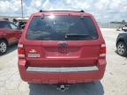 Lot #3303739436 2008 FORD ESCAPE XLT
