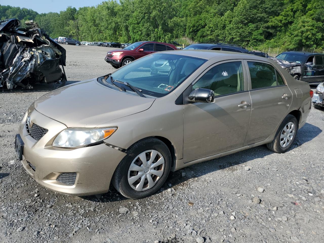 TOYOTA COROLLA BASE