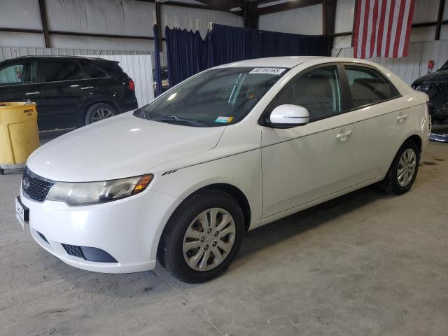 KIA FORTE EX