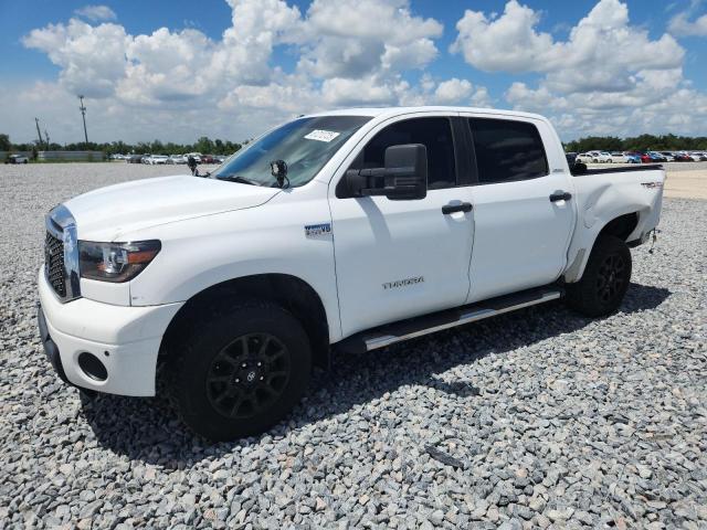 2010 TOYOTA TUNDRA CRE - 5TFFY5F13AX093573