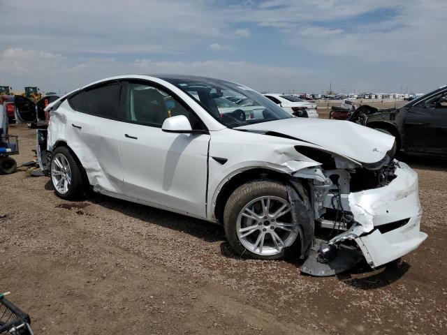 2021 TESLA MODEL Y - 5YJYGDEE1MF253572