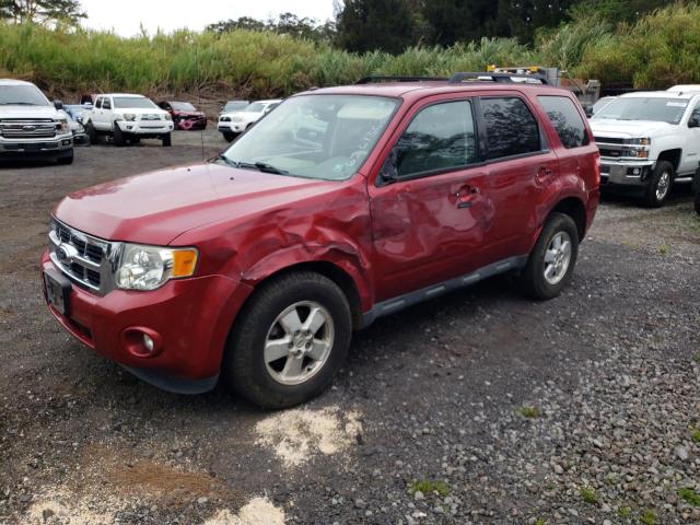 FORD ESCAPE XLT